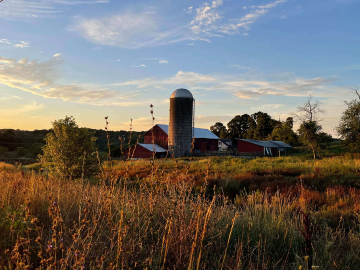 Why is Beyond Meat and Impossible Meat classified as ultra processed food?