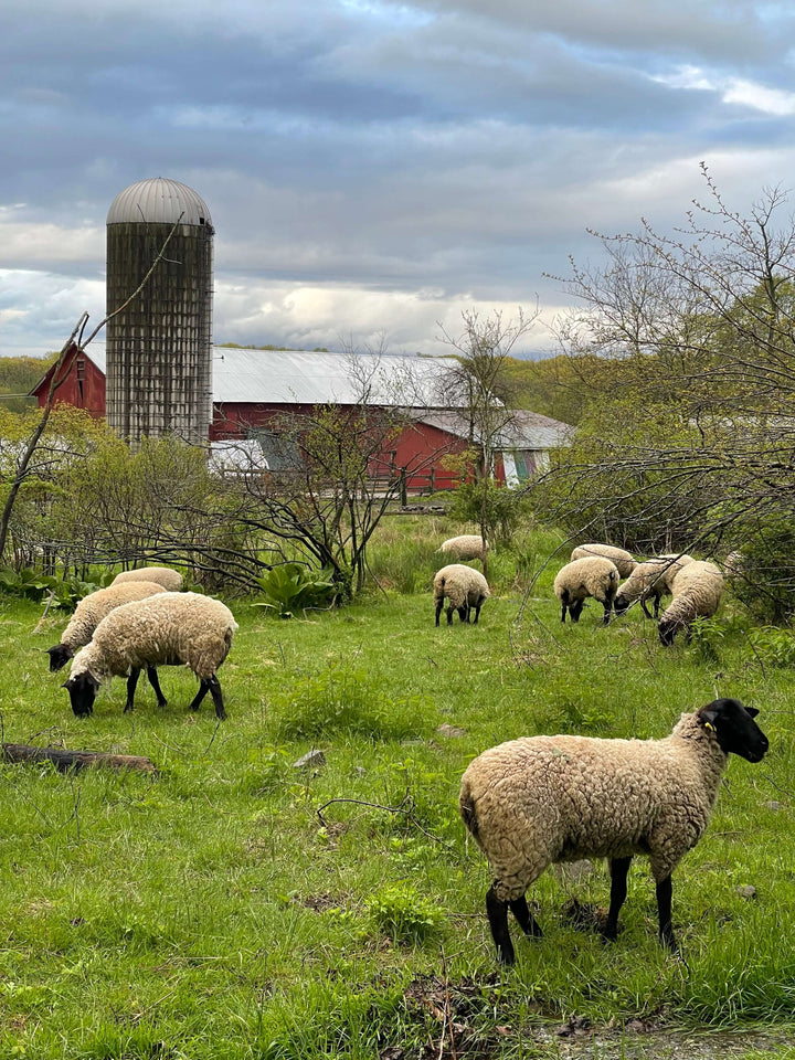 Championing Local Agriculture: The Impact of Supporting Farms like Wormuth Farm