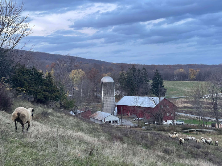 Why are pasture raised meats better for a sustainable lifestyle and our environment?