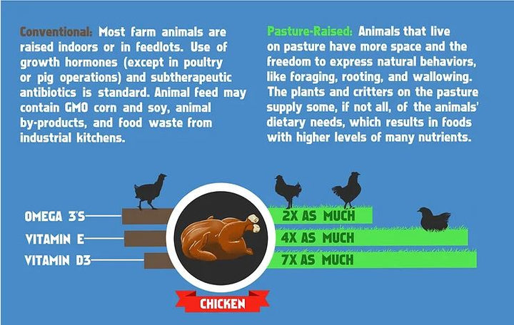 Omega-3 Rich and Ethically Raised: Why Pastured Poultry is the Ultimate Choice for Health-Conscious Consumer