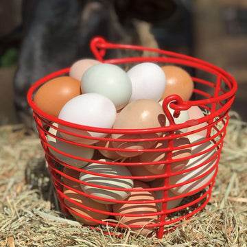 Chicken Eggs, Pasture Raised, Local Pickup Only
