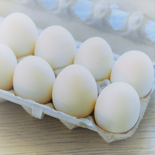 Duck Eggs, Local Pick Up Only